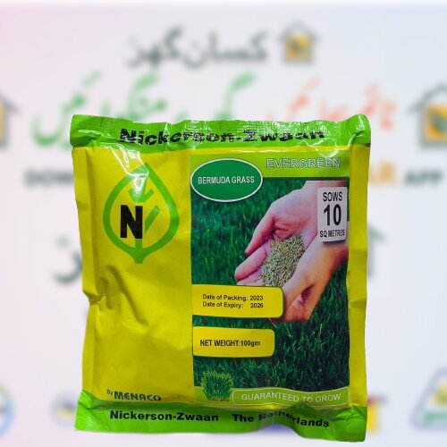 Bermuda Grass Seed 100gm Evergreen By Menaco Nickerson-zwaan The Netherlands To Sows 10 Sq Meters For Home Garden Lawn Grass