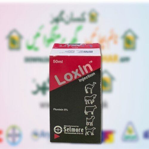 Loxin Injection 50ML for vet use only Flunixin 5 Selmore 