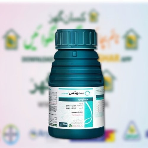 Simodis 100DC 280ML PLINAZOLIN technology, SIMODIS is a broad-spectrum insecticide that is an effective, unique, and long-lasting solution for Jassid & Thrips in cotton crop. Syngenta Pakistan