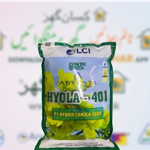 Hyola - 401 1kg ( part of 2kg bag ) F1 Hybrid Canola Seed ICI Hiola Advanta Hyola 401 Lci Pakistan Lucky Core Industries Hybrid Canola Seed Pacific Seeds