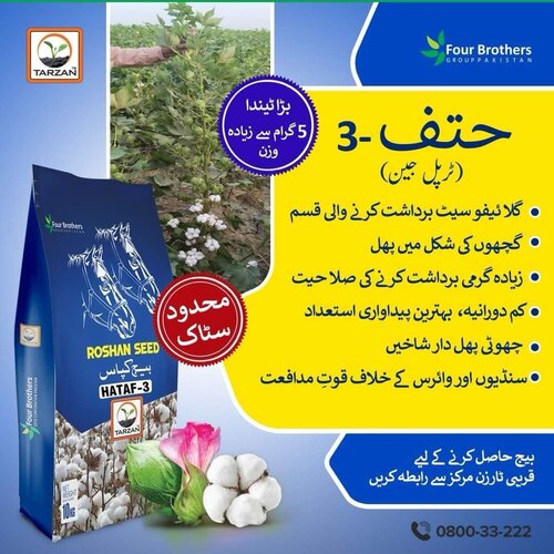 2nd Hataf 3 10kg ( pink free glyphosate free whitefly resistant ) Cotton Seed Best Cotton Variety of Pakistan Kisan Ghar Tarzan Four Brothers Kappas ka beej
