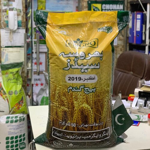 2nd Engro Wheat Seed 50kg Akbar ( Akbar, Fakhre Bakker, Fsd 08 ) Engro Seeds Top Quality Seed Gandum Ka Beej گندم کا بیج بھروسہ کا بیج