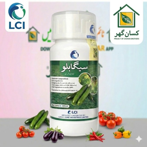 2nd Sega Bilu 40SC 300ML (سیگا بلو) LCI – Lucky Core Industries (LCI) | Fungicide And Bactericide Premium Protection for Vegetable Crops Segabilu