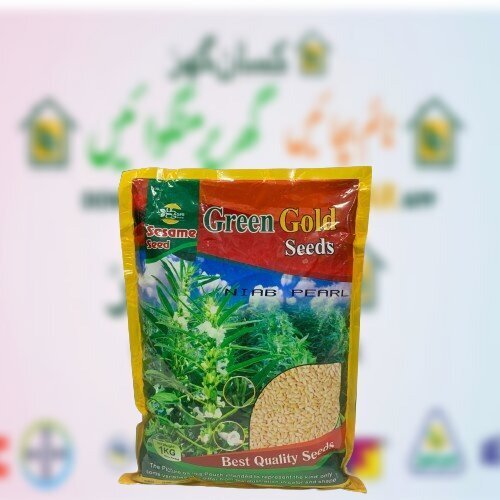 Niab Pearl Sesame Seed 1kg Green Gold New Variety Sesame Crop