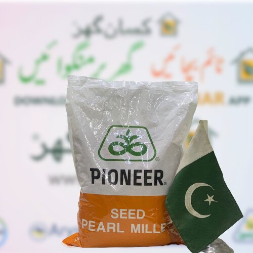 Hybrid Pearl Millet Seed 86m84 2.5kg Pioneer Seeds Corteva Agriscience Pakistan Limited Hybrid Bajra 