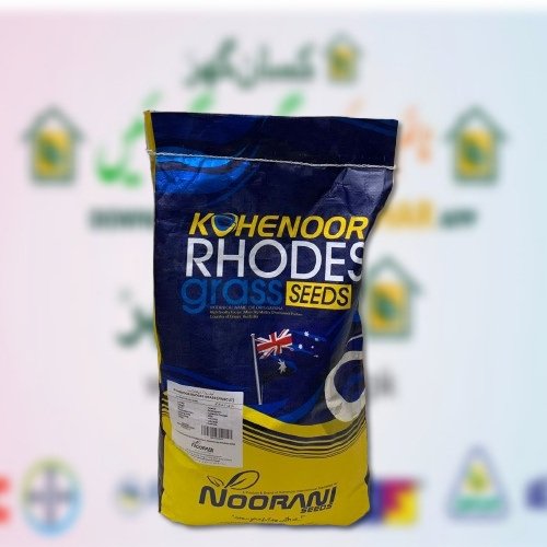 Rhodes Grass 4kg Kohenoor Forages Koh e noor Rhode Grass Seeds Perfect For Fodder Dry Chara Fine Cut Variety Noorani Seeds Dairy Seeds