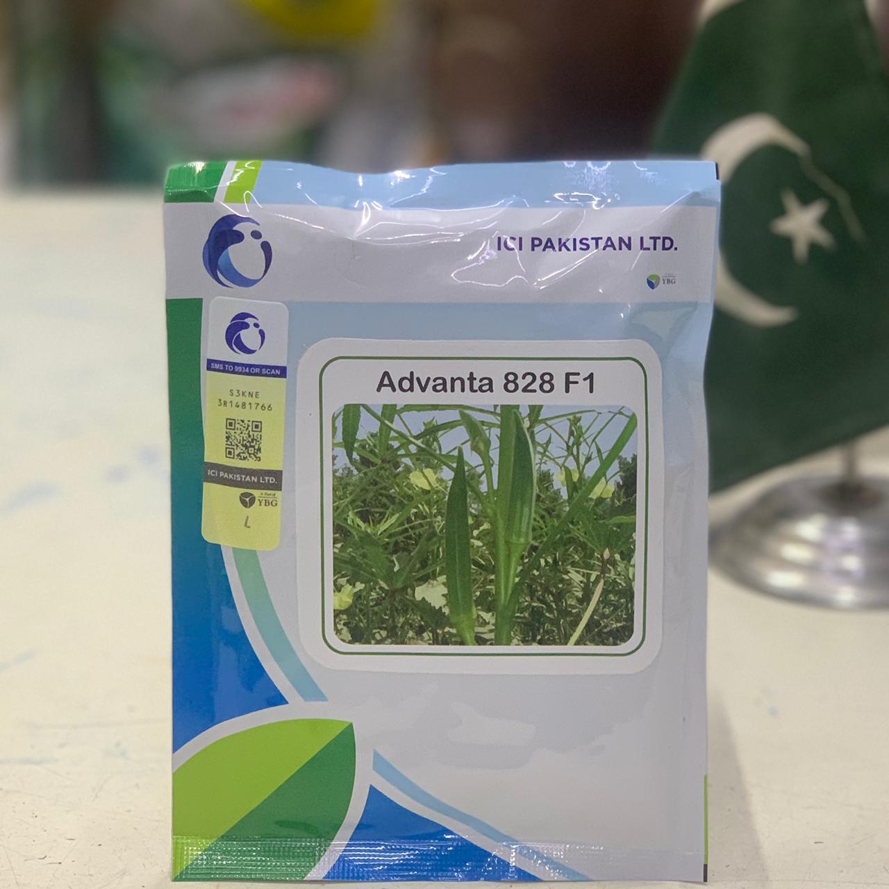 Okra Advanta 828 F1 Ici Pakistan Bhindi Seed 100gm Vegetable Hybrid Seed Lady Finger Seed