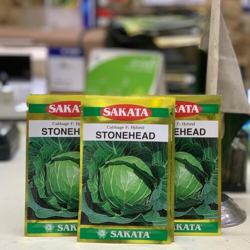 2nd Stonehead Hybrid F1 Cabbage Sakata Seed 10gm Band Gobi Beej