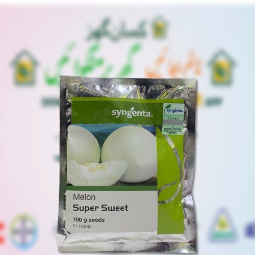 Super Sweet 100gm White Melon Seed Syngenta Pakistan F1 Hybrid Beej 