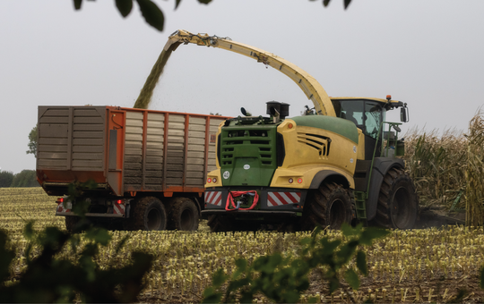 SOILAGE types and prodction technology
